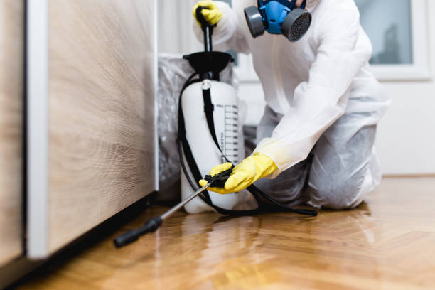Best Emergency Pest Control  in Pocasset, MA