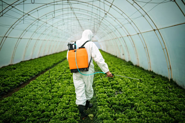 Best Residential Pest Control  in Pocasset, MA