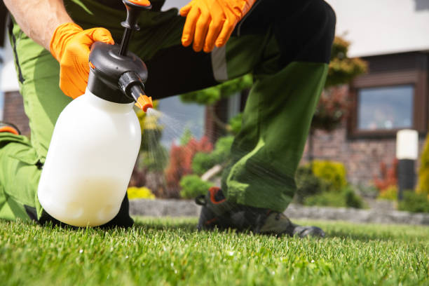Best Pest Inspection Near Me  in Pocasset, MA