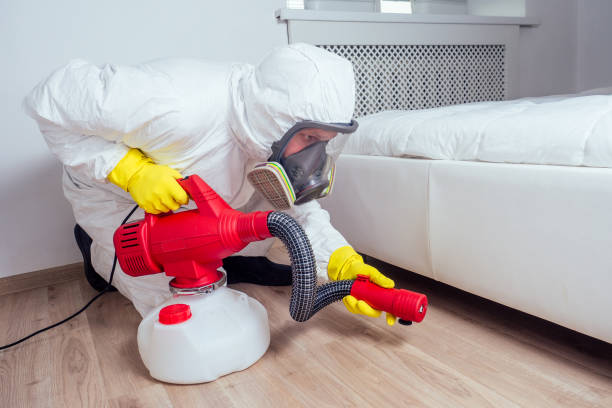 Best Termite Control Services  in Pocasset, MA