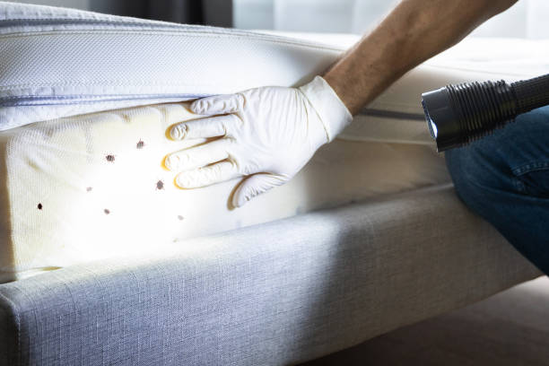 Best Pest Control Treatment  in Pocasset, MA