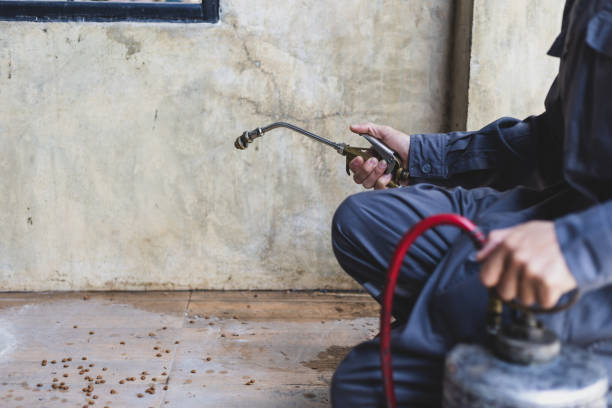 Best Pest Control for Businesses  in Pocasset, MA